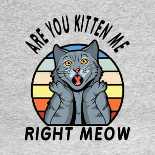 Are You Kitten Meow Right Now - Funny Cat Pun,  Retro Sunset Design Funny Gift Idea For Cat Lover T-Shirt